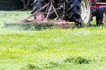 Bush hogging an over grown field in Thibodaux.
